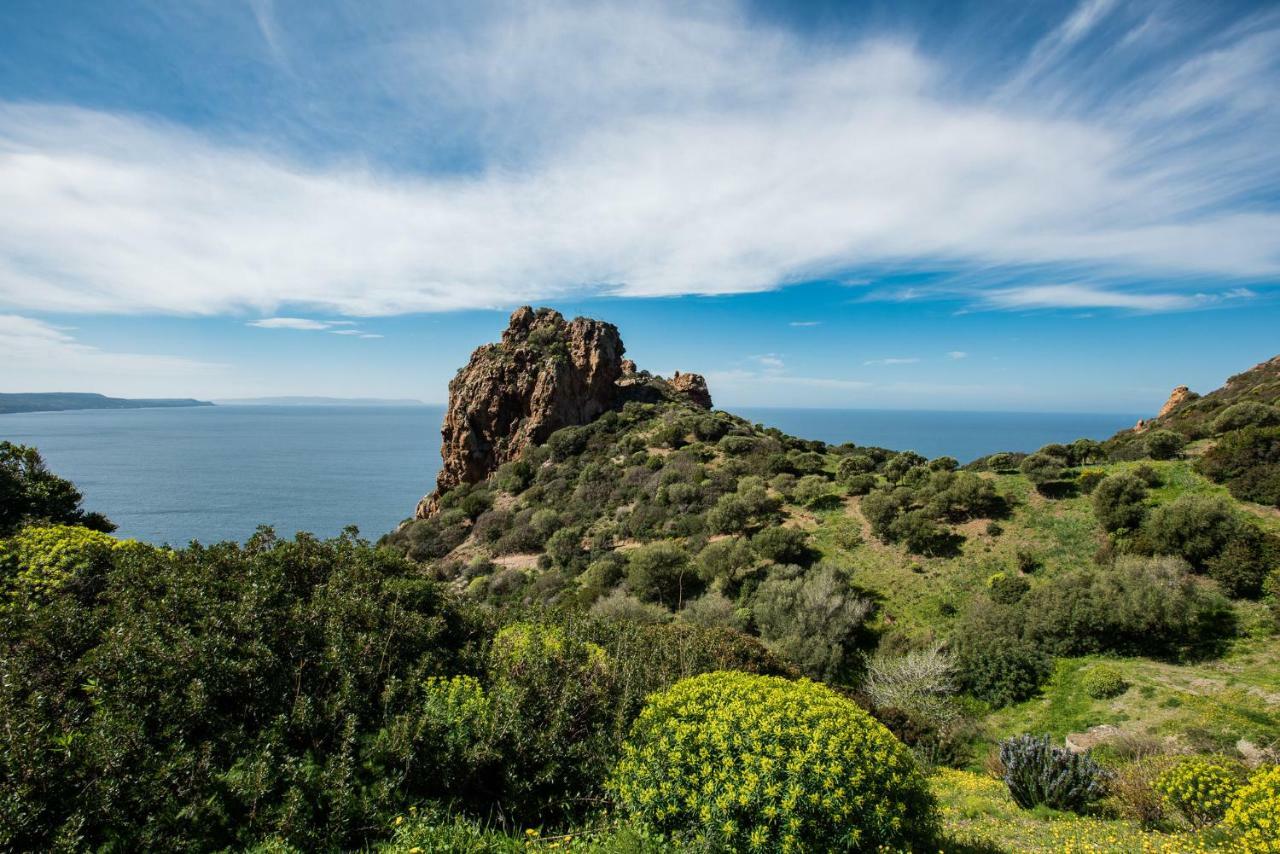 Villa Brezza Marina Nebida Экстерьер фото